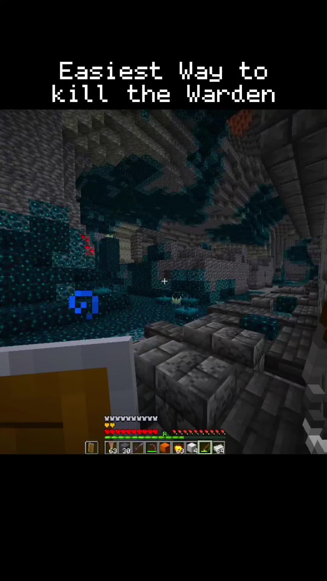 @MinecraftTipsAndTricks