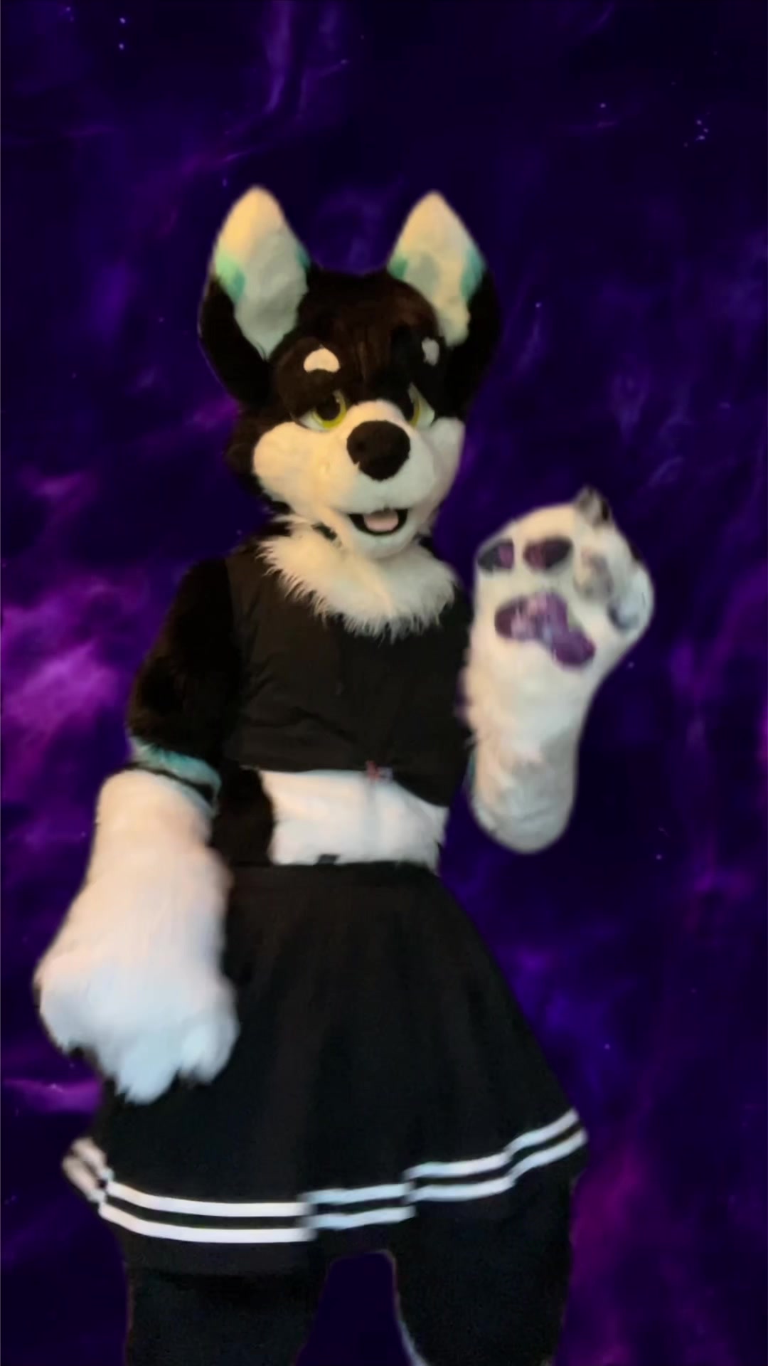 @⭐️KiwiFurSure⭐️
