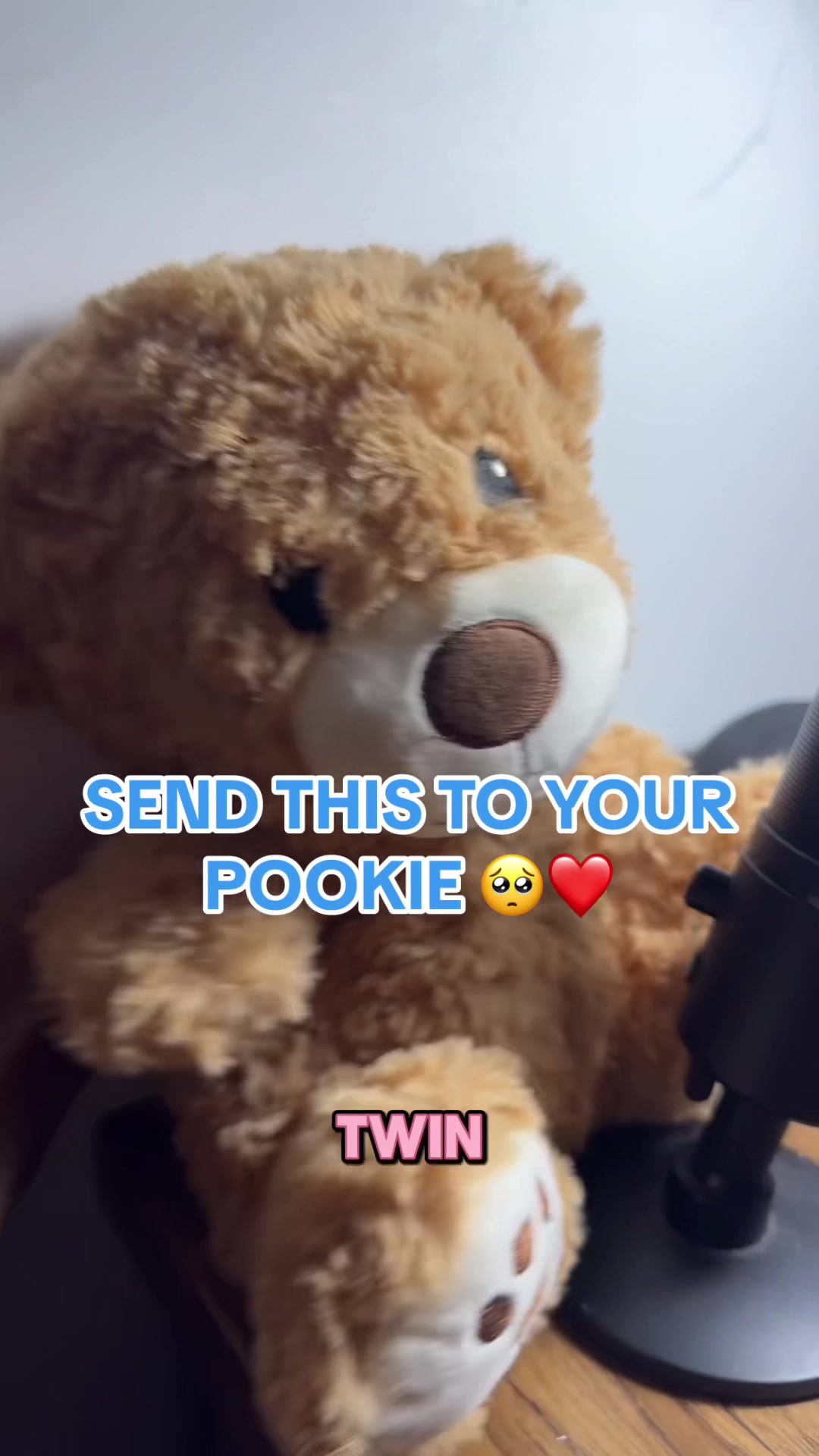 @🧸 Pookie Wookie Woo Bear 🧸