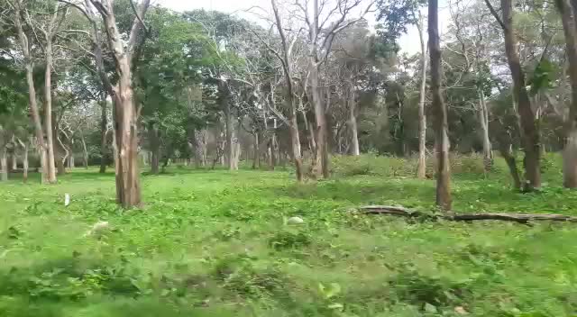 @shivpoo