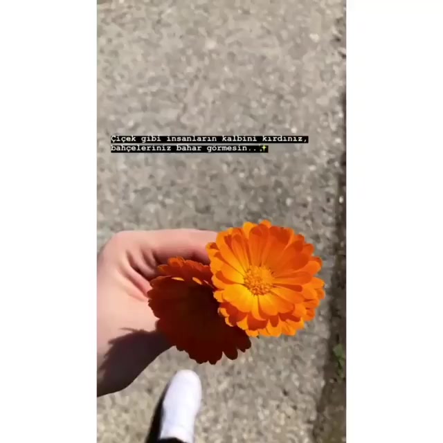 @helin.bnql