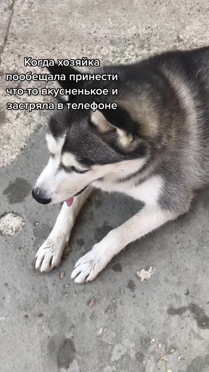 @МОНАВЛЮ