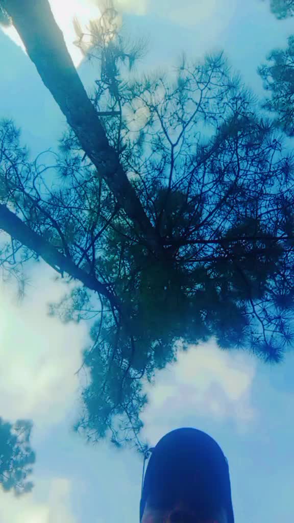 @L&ucirc;r&eacute;y S&atilde;rk&atilde;r