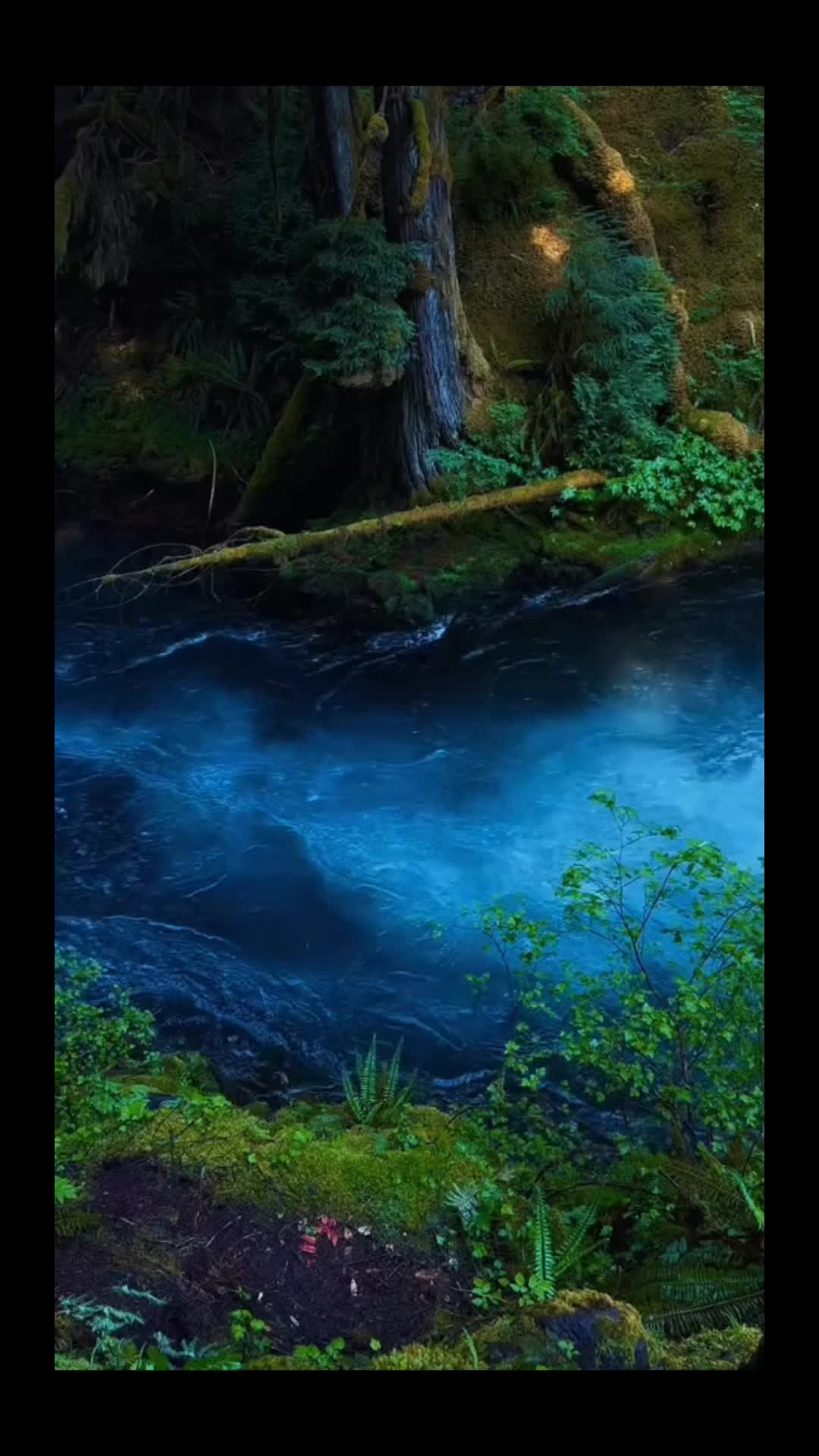 @Dailyqurandeen