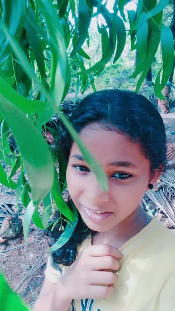 @user9237092127571
