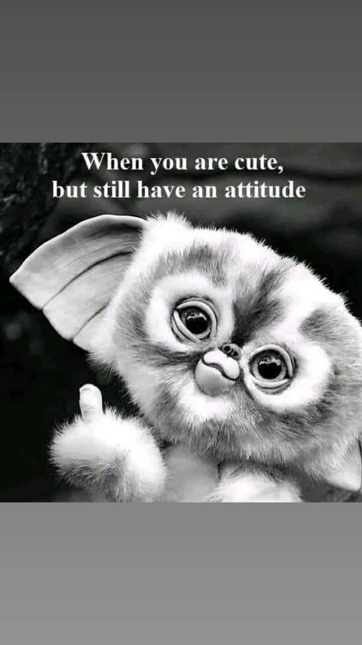 @Amber