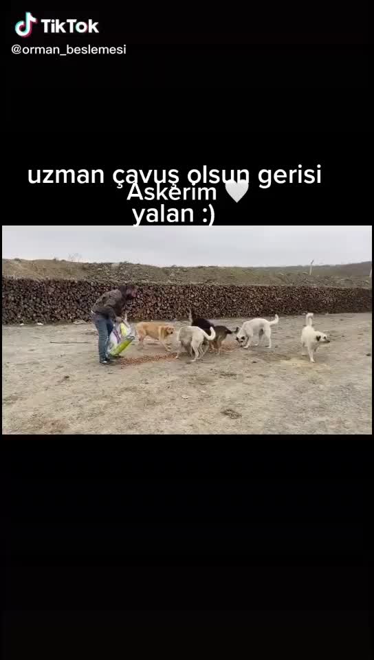 @h g hüseyin