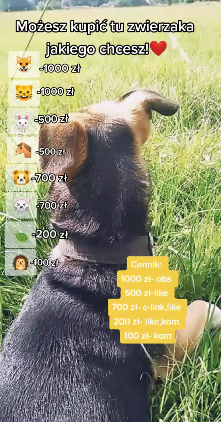@💗 Pędzel 💗