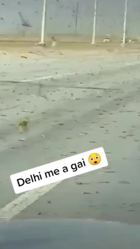 @Sarkaniya 😎