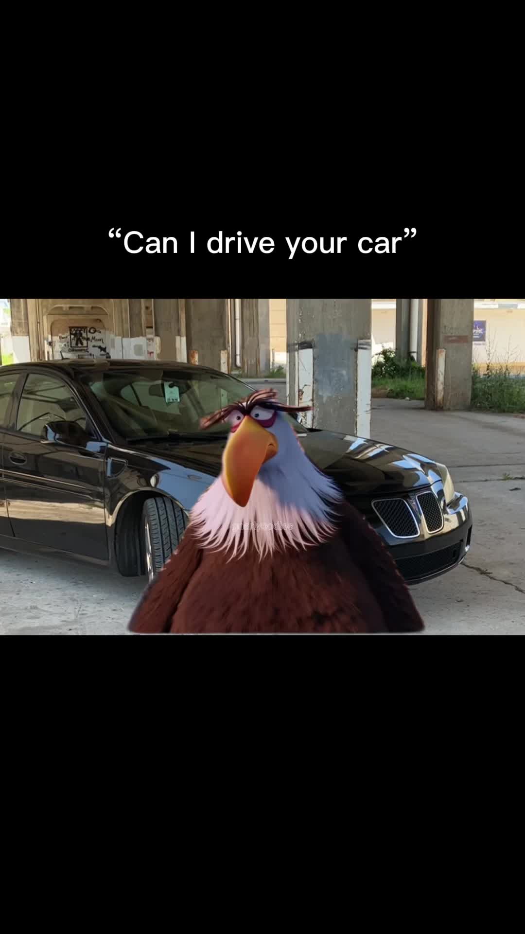 @Travis Falke