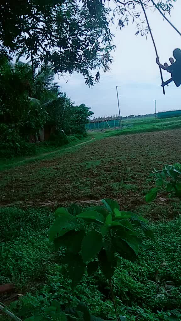 @Barshapriyadarshini