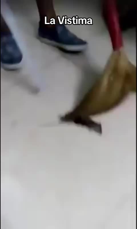 @memes y melames