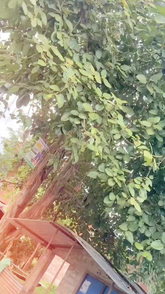 @Thakuri 🖤