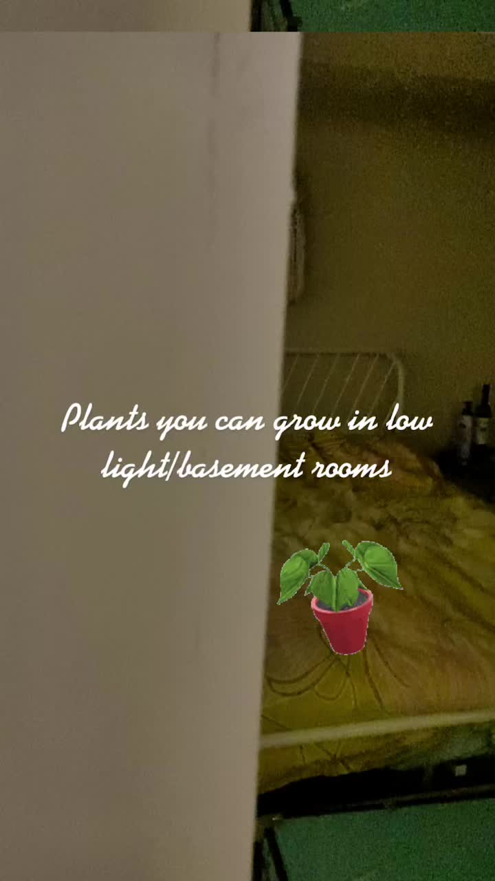 @J. Val