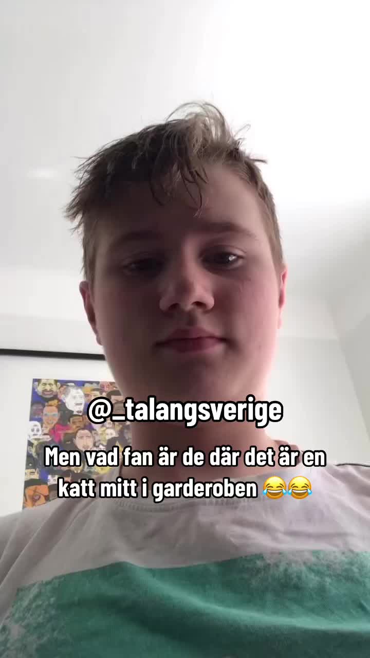 @_talangsverige1
