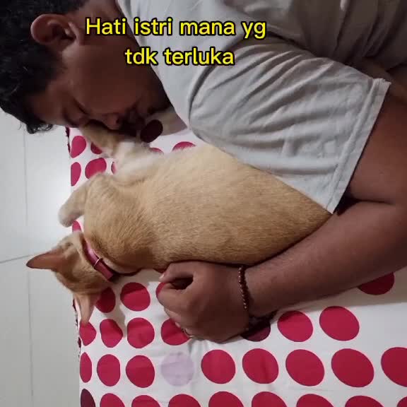@Mimi