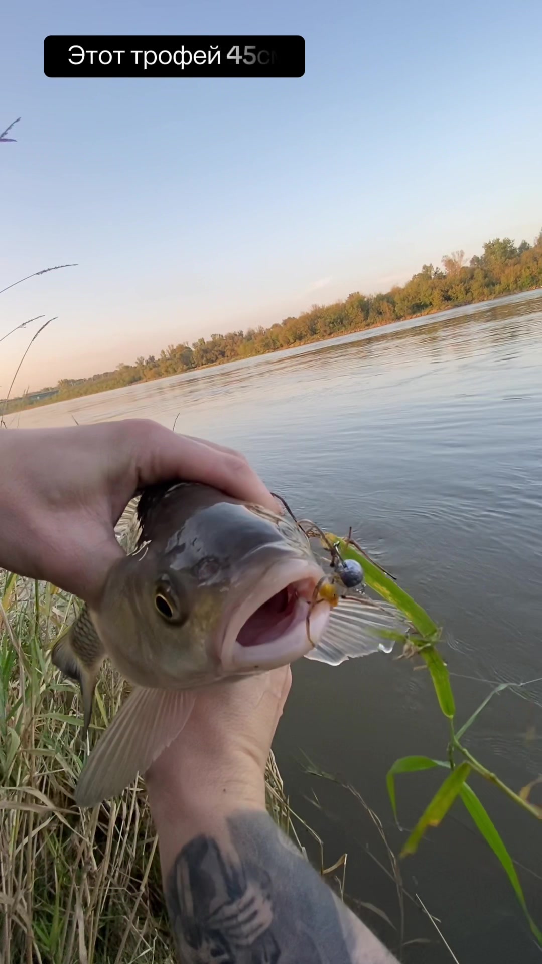 @Ace.fishing