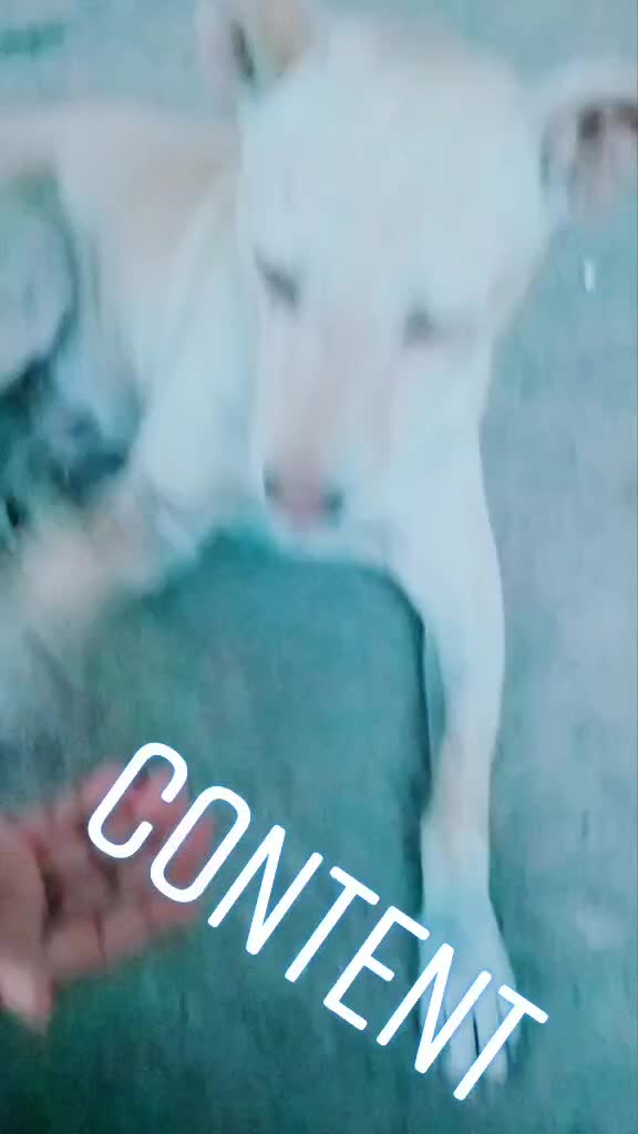 @Mohit Yadav