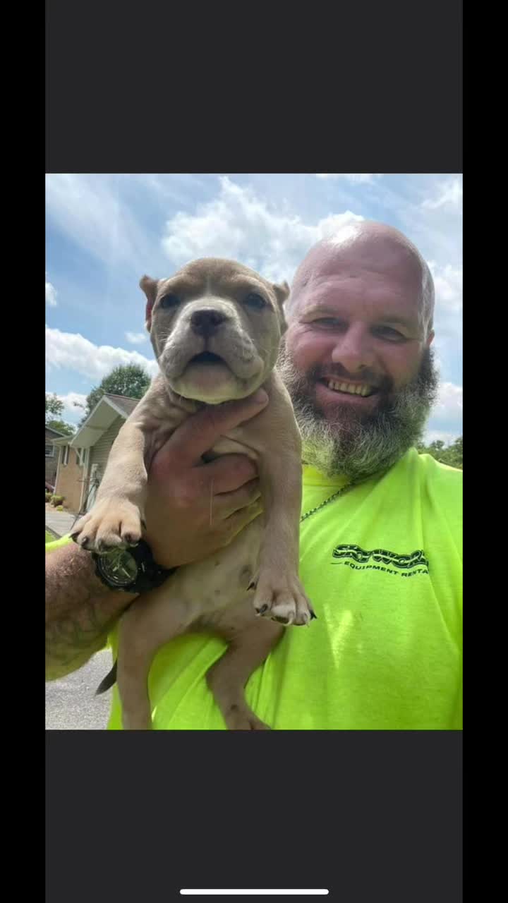 @smithbrothersbullies1