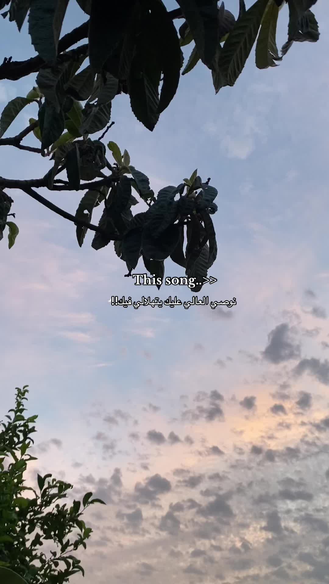 @WIEM|وئام🐝