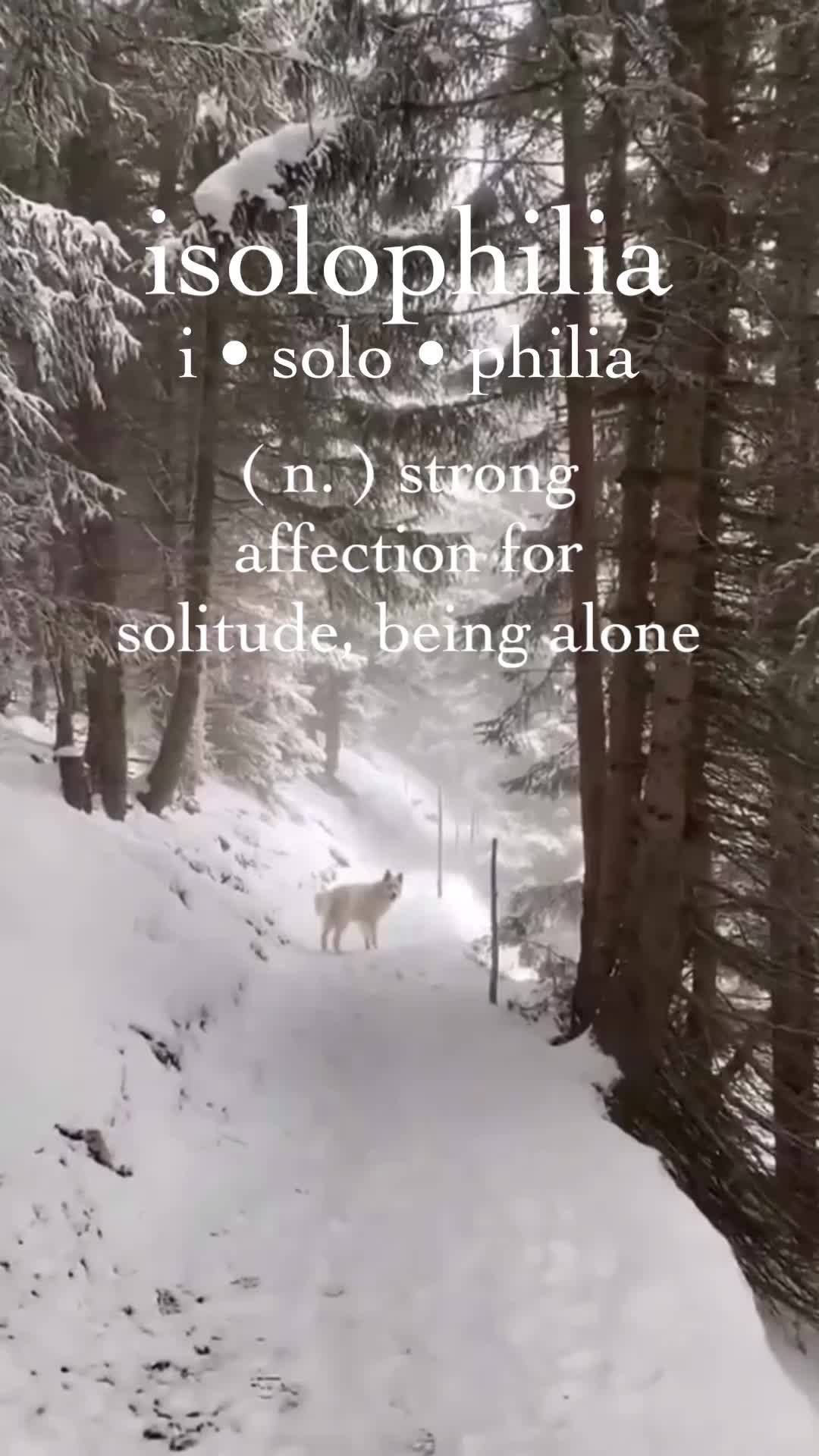 @T