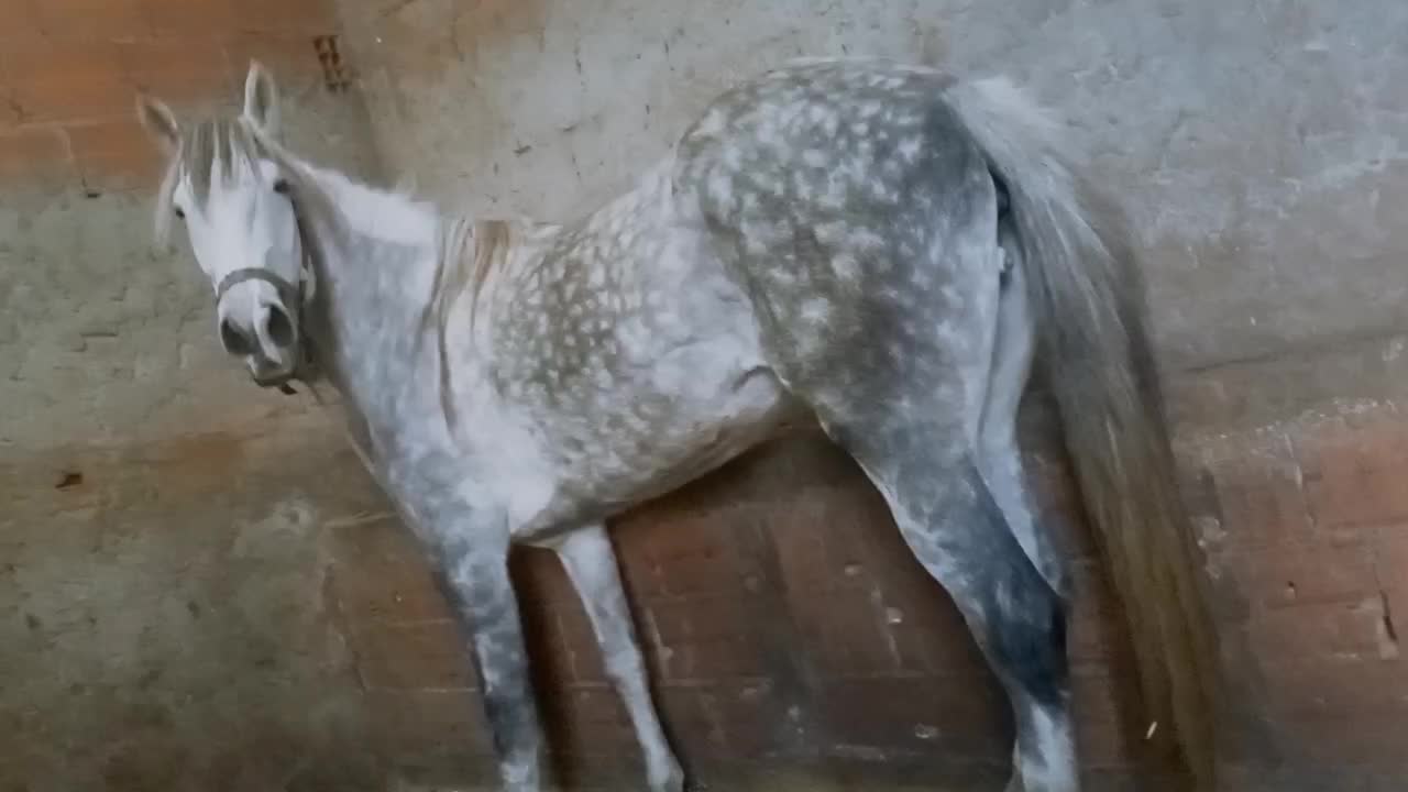 @حميد محمودي.