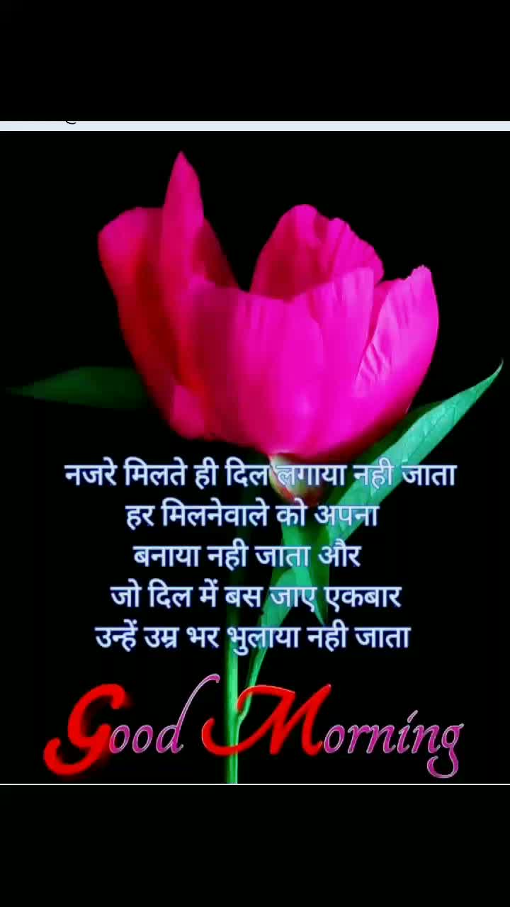 @Chouhan Mahesh  7600