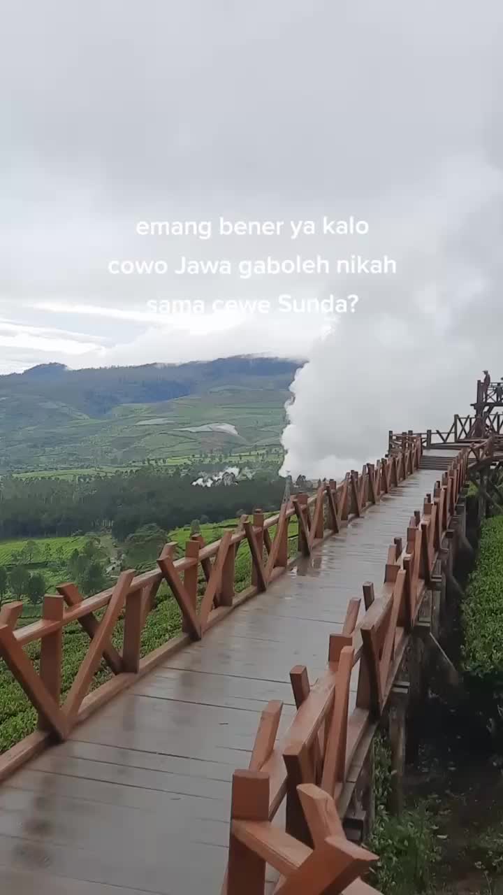 @firdii