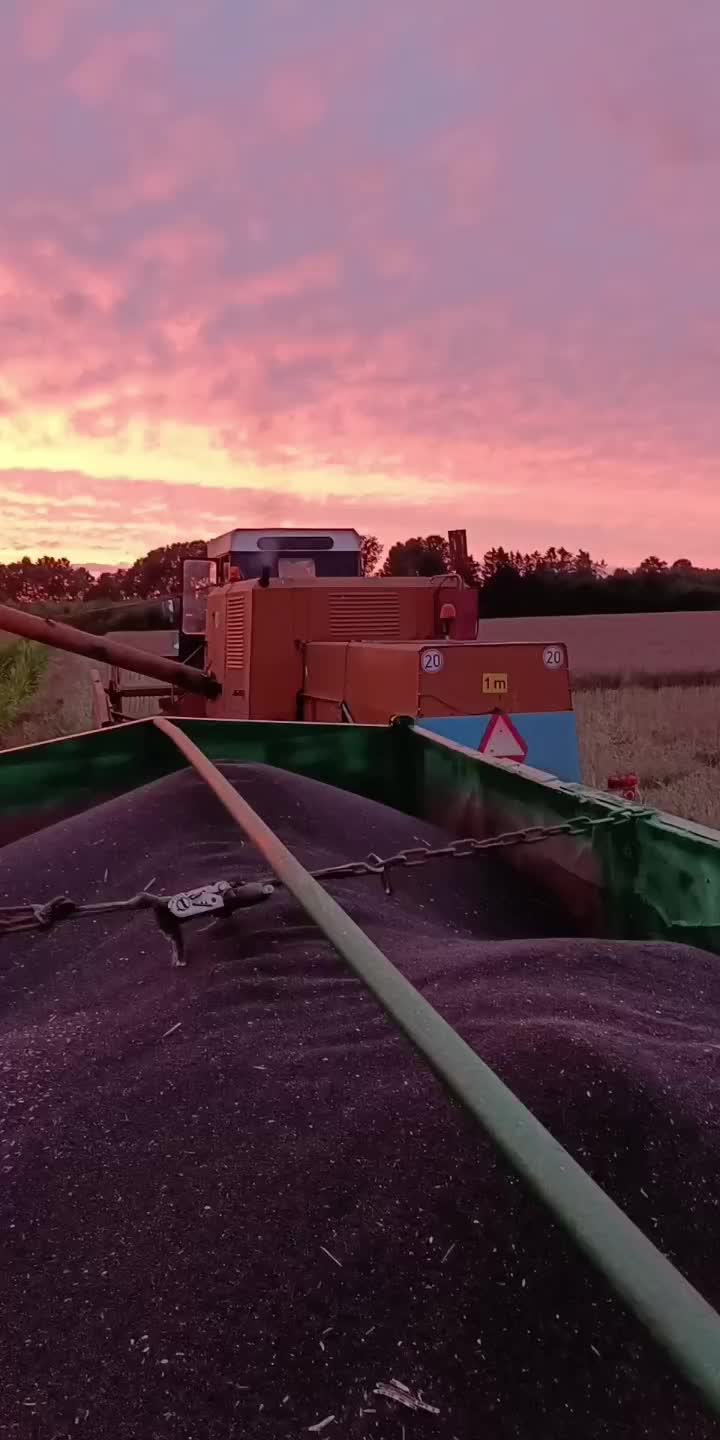 @Miłosz