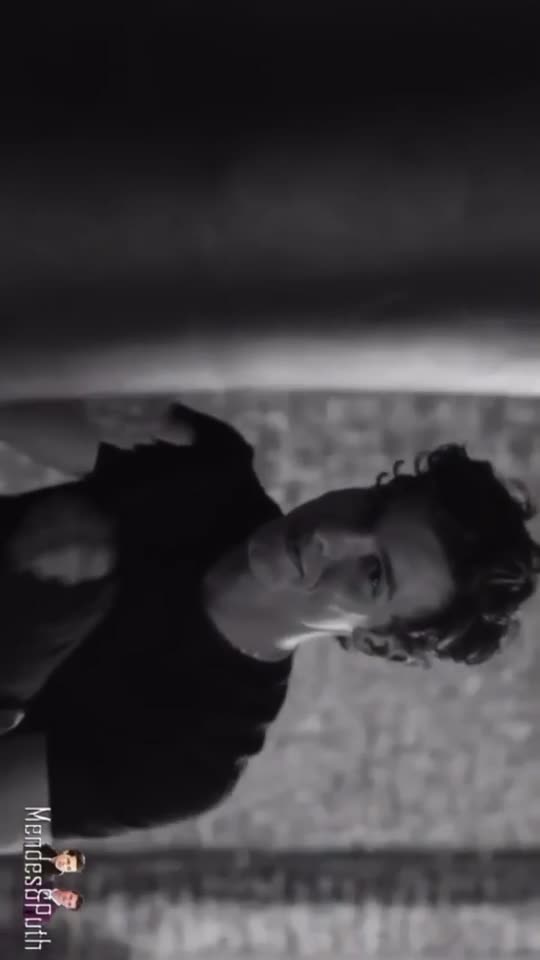 @Shawn Mendes 2020
