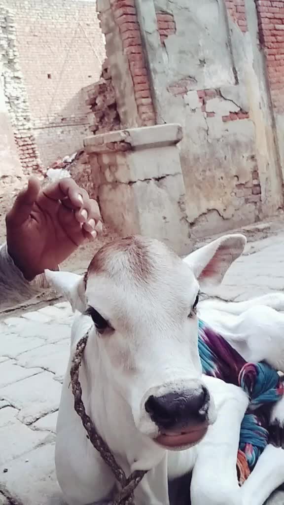 @user94998672206