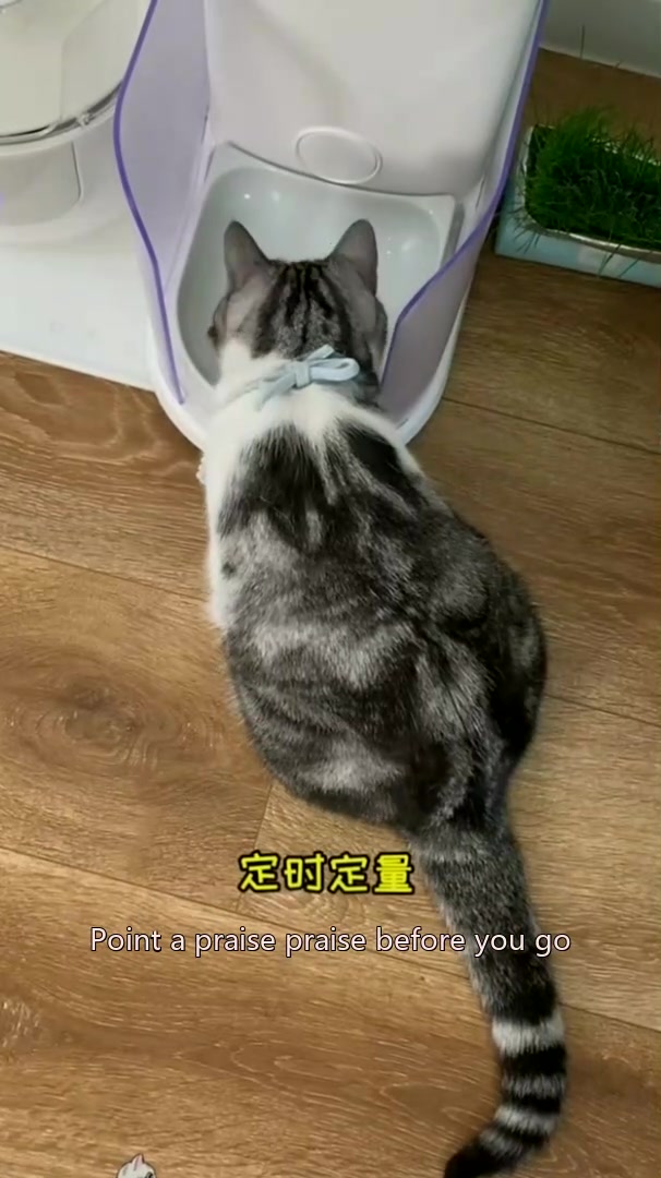 @dfhdhhd22