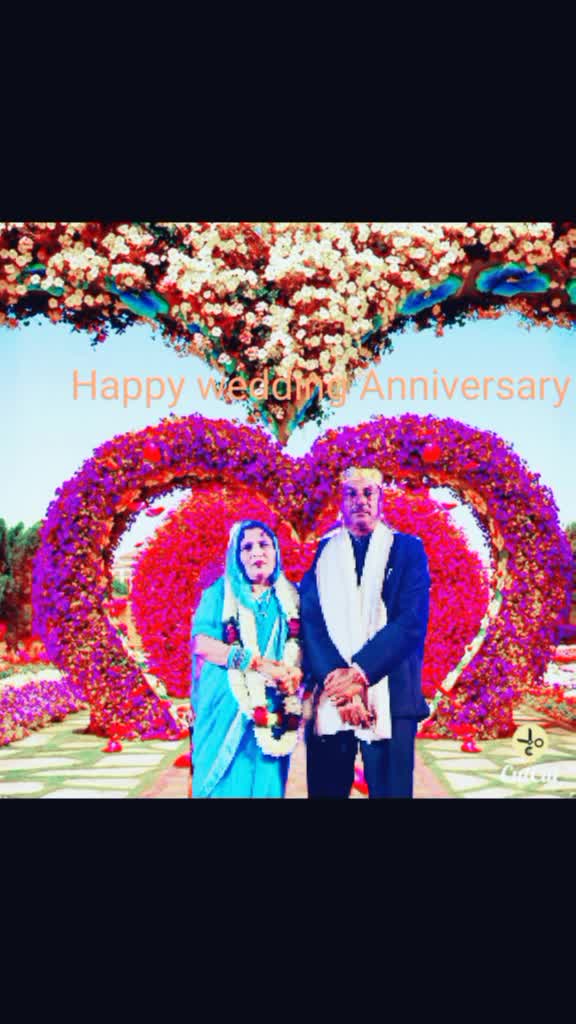 @shailysheikh143