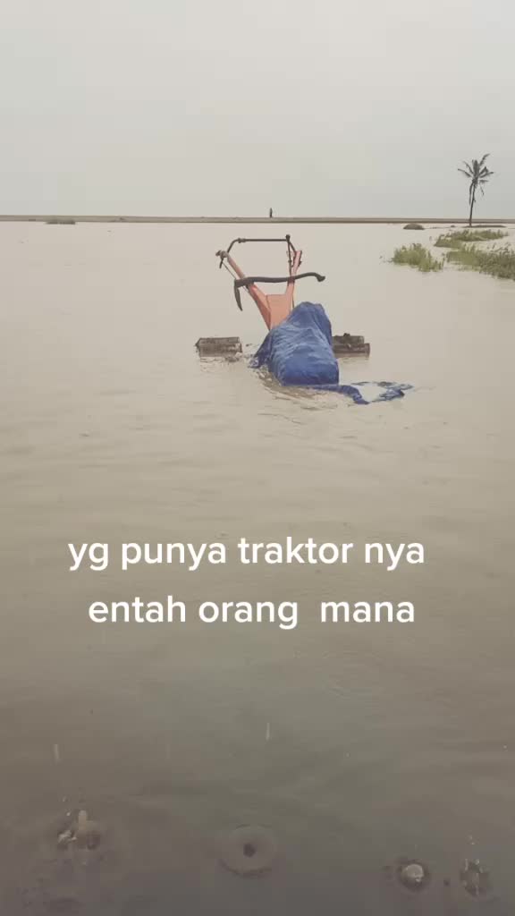 @🇮🇩🌹🌹SAMIN PRAMUJA🌹🌹🇲🇨