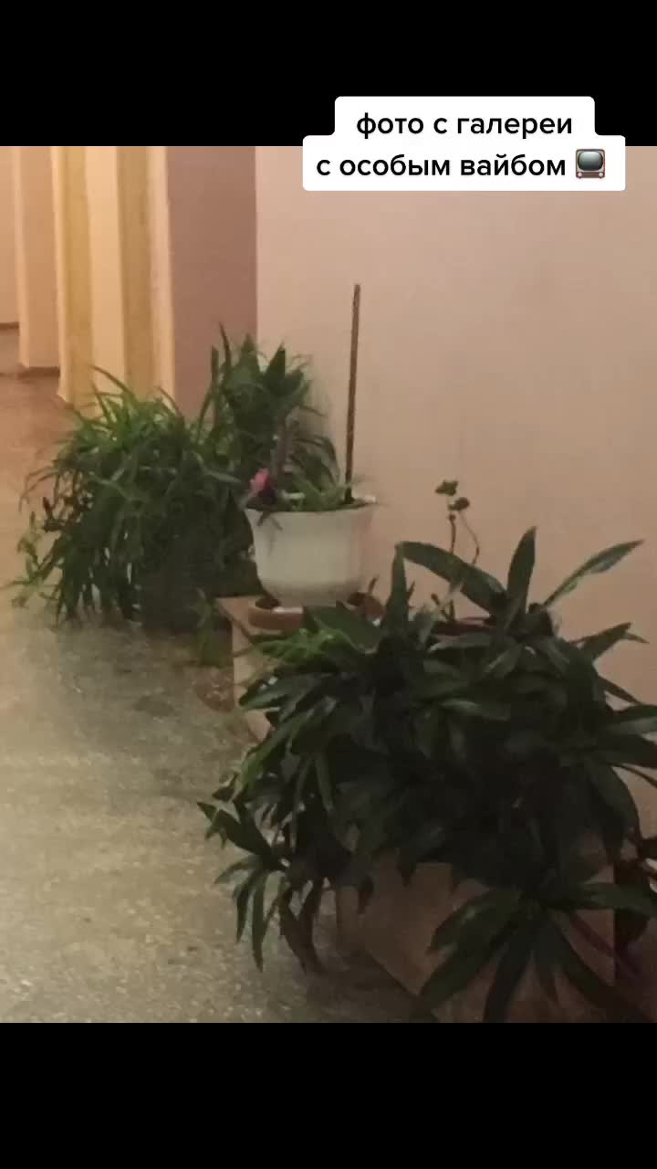 @Мария Безносова🐰