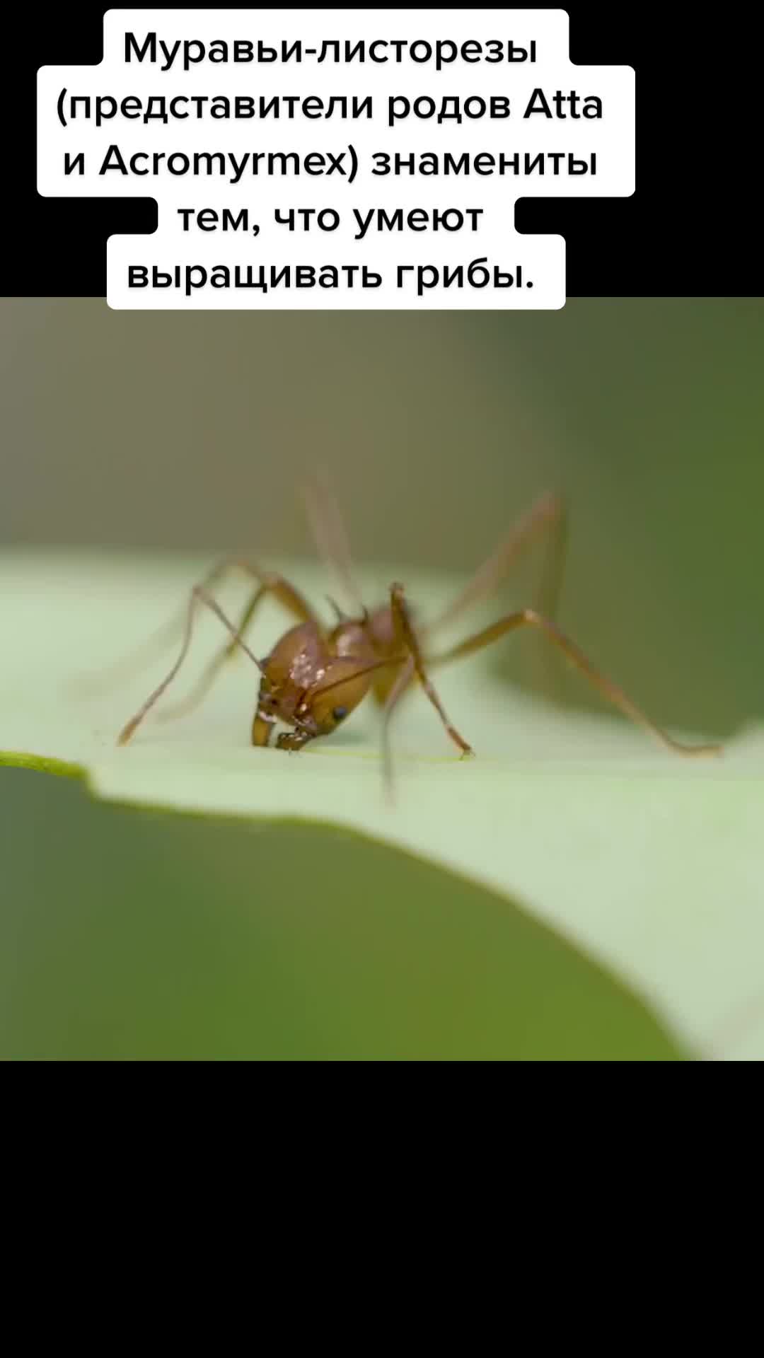 @𝓔𝓵𝓮𝓷