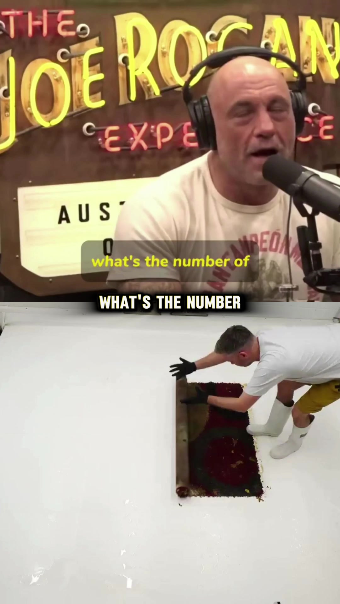 @Joey Diaz Clips