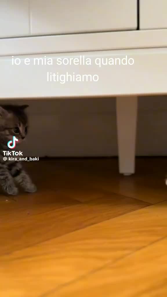 @lucas14_
