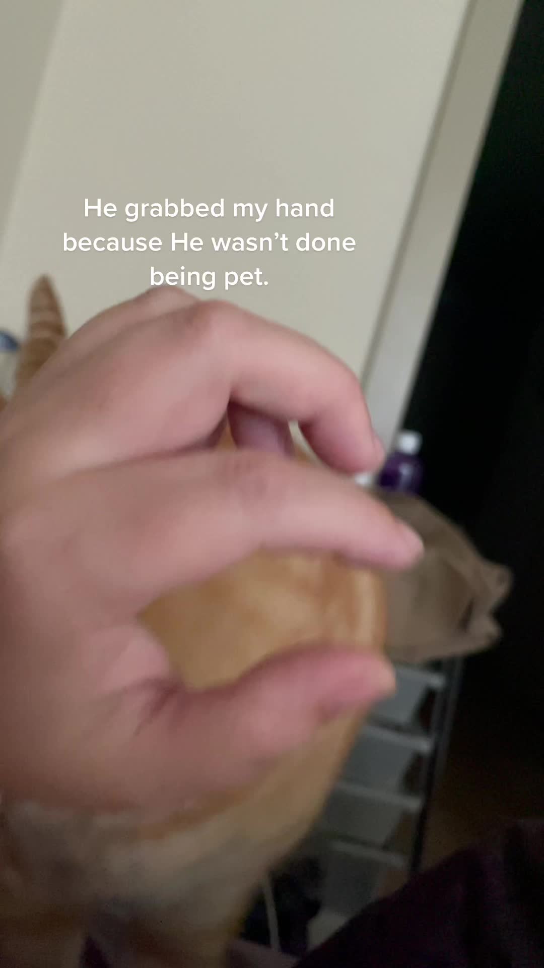 @Raja and Floof