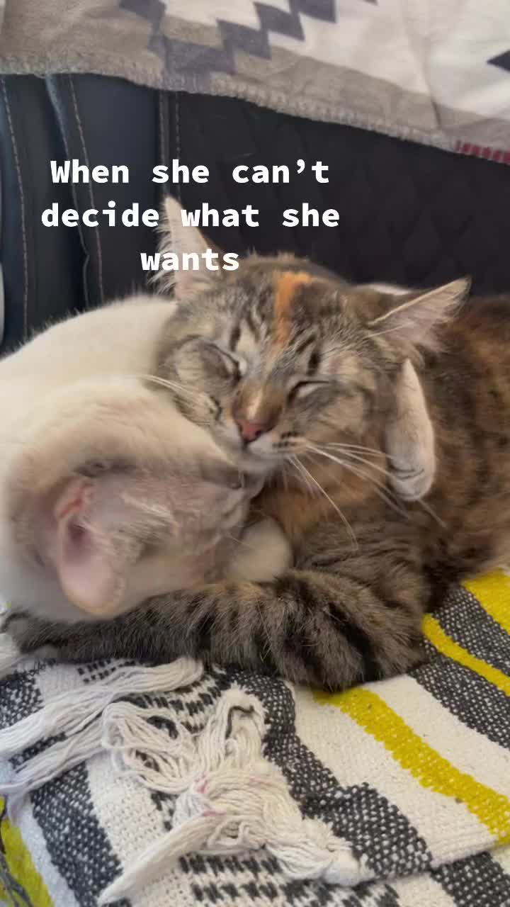 @Dawnald
