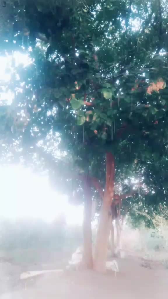 @bhgirathradhava1111
