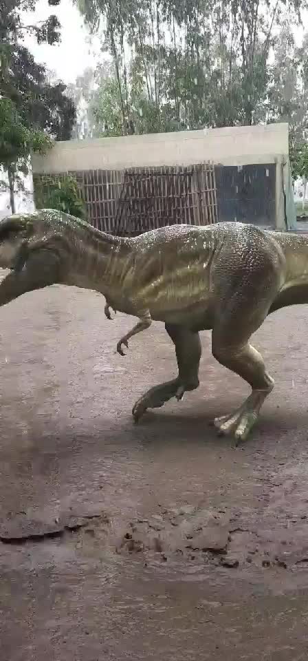 @JashanBenipal315