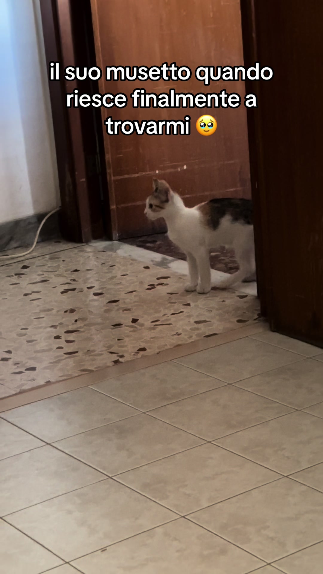 @ffaelina
