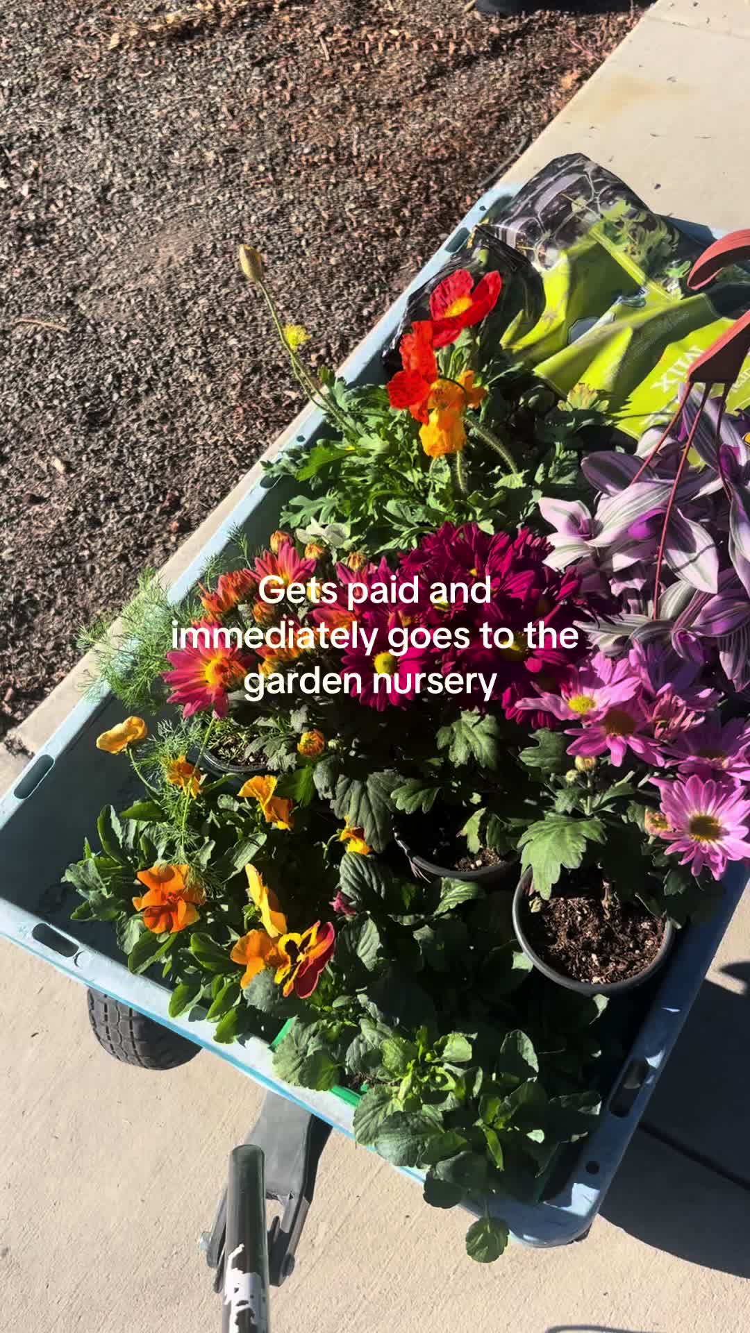 @gardeninginoside