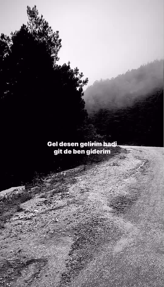 @SARI ✅