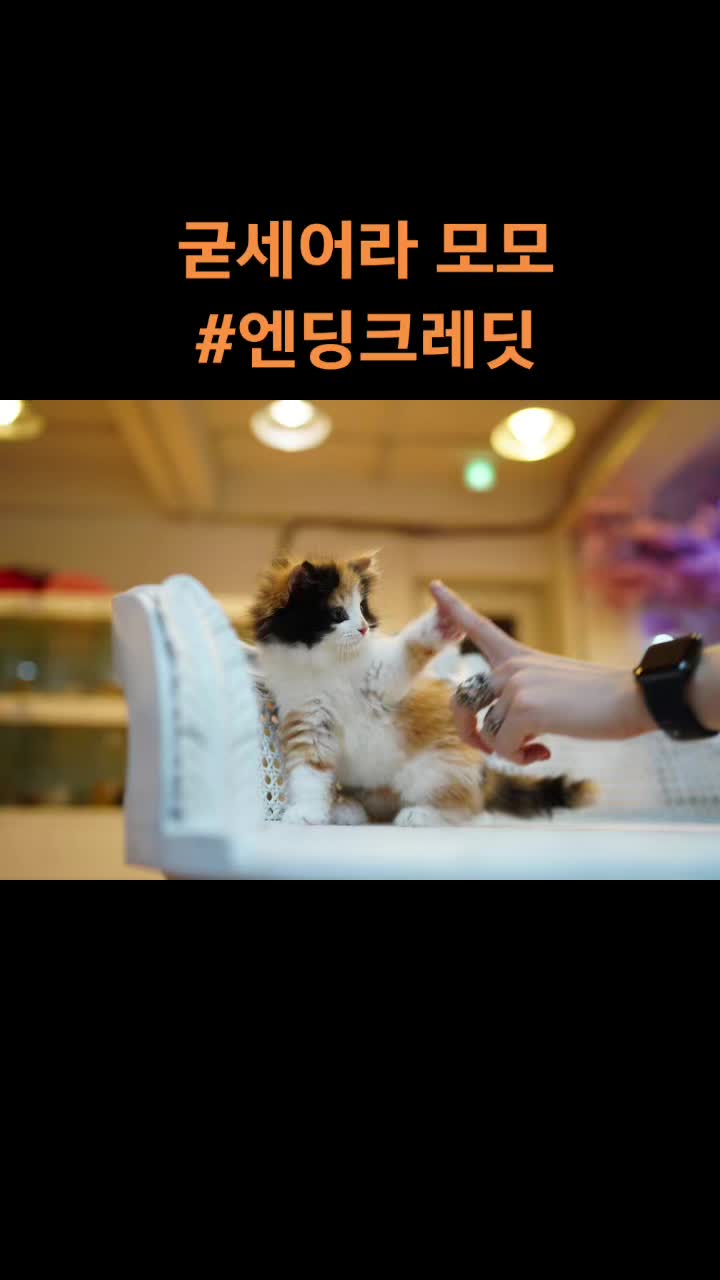 @da_yeon_flower
