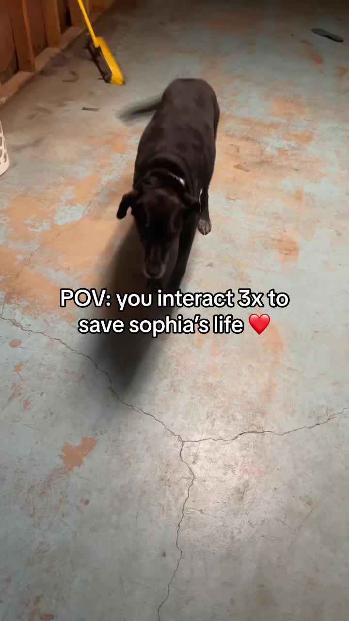 @emily