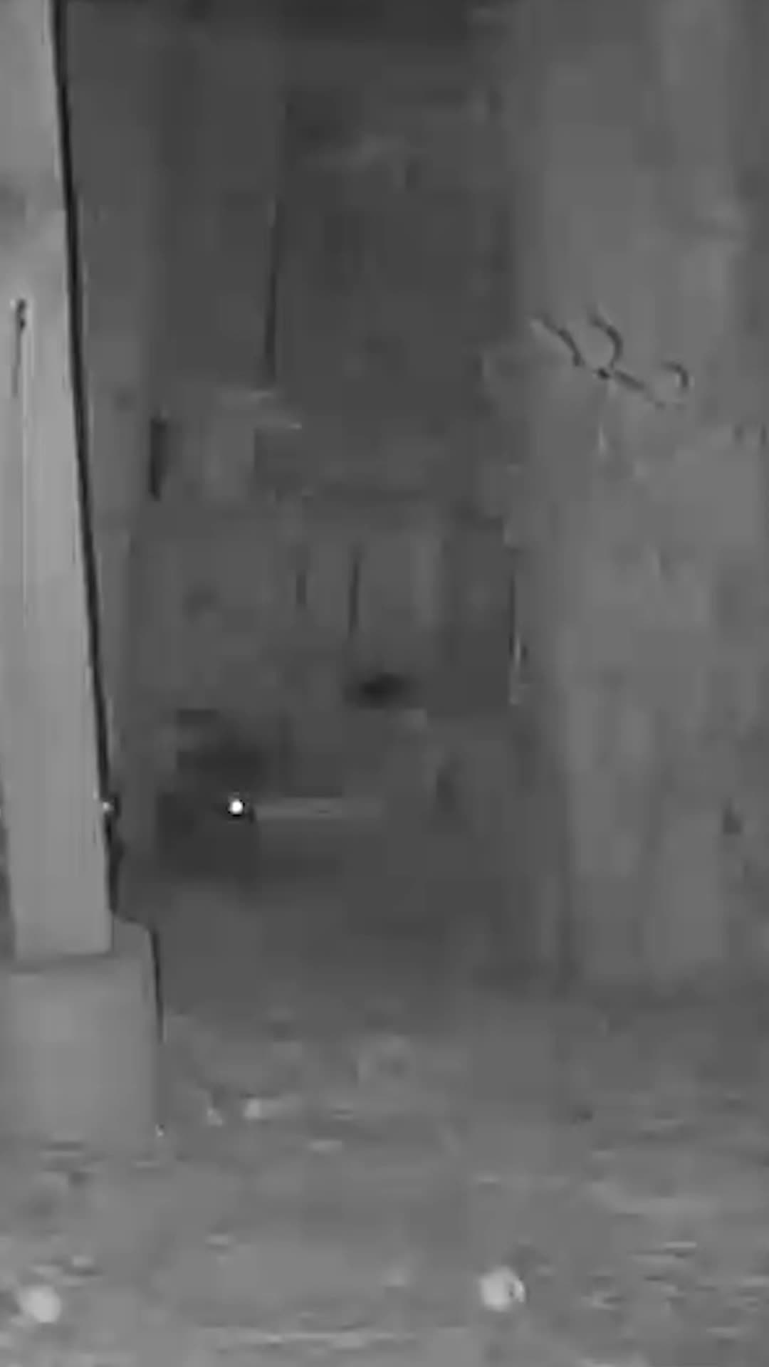 @F🦊XSEE👀Footage🎞️
