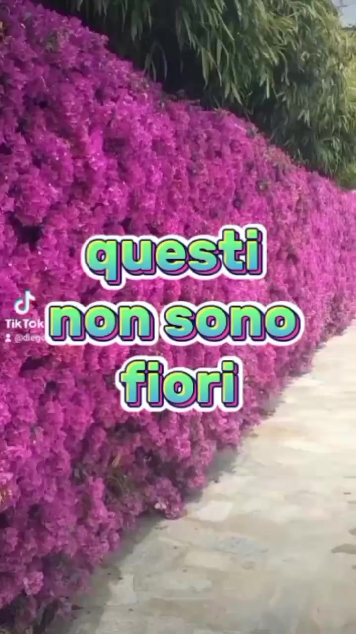 @Il giardiniere felice