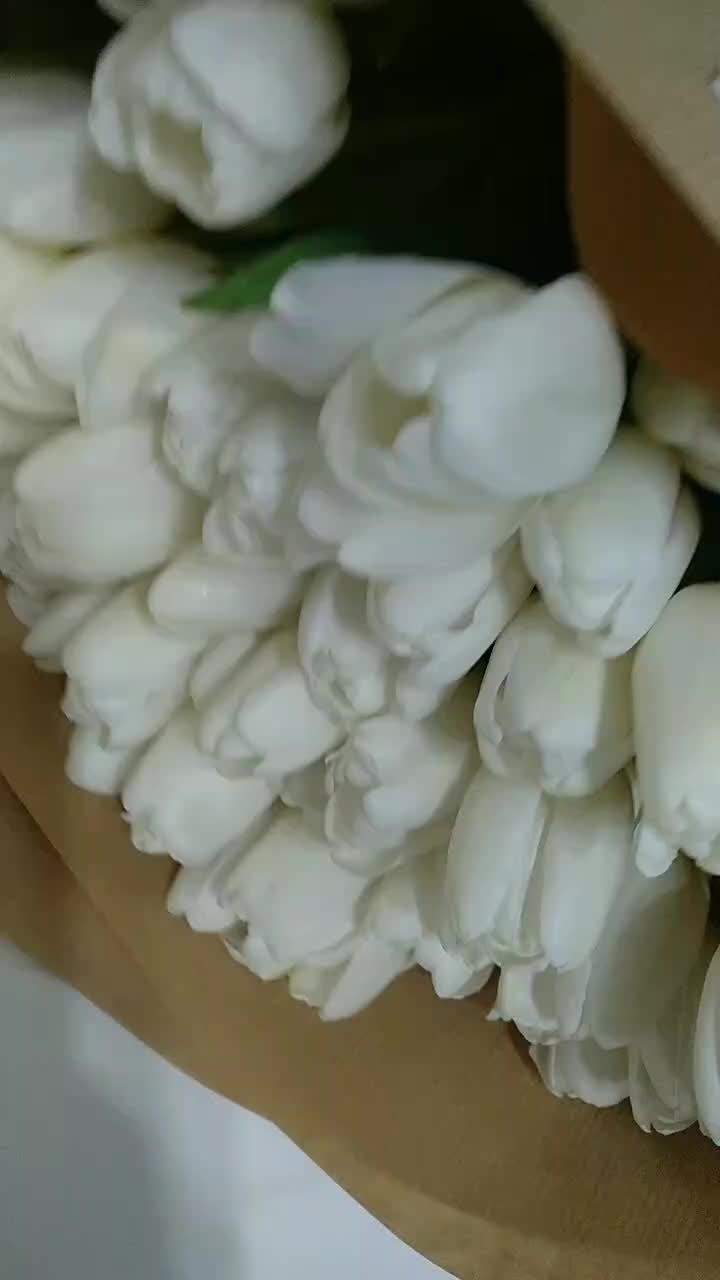 @Alina